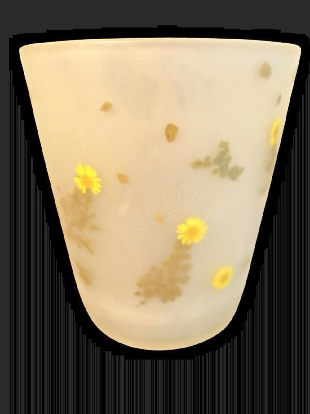 Martha Stewart Everyday Encased Dried Floral Resin Frosted Wastebasket Cottage